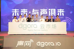 從技術(shù)服務(wù)到生態(tài)共創(chuàng) 聲網(wǎng)Agora攜手合作伙伴共建RTC未來(lái)