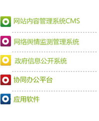 網絡軟件開發(fā) 中天億信與網絡品牌專家的融合之道