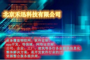 拓展定制軟件開發(fā)——禾迅科技助力企業(yè)數字化轉型